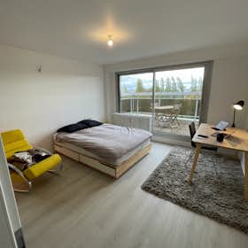 Private room for rent for €980 per month in Strasbourg, Rue des Carolingiens