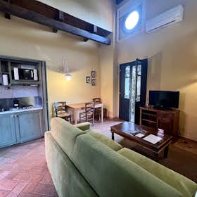 Studio for rent for €2,400 per month in Moncalieri, Strada Revigliasco