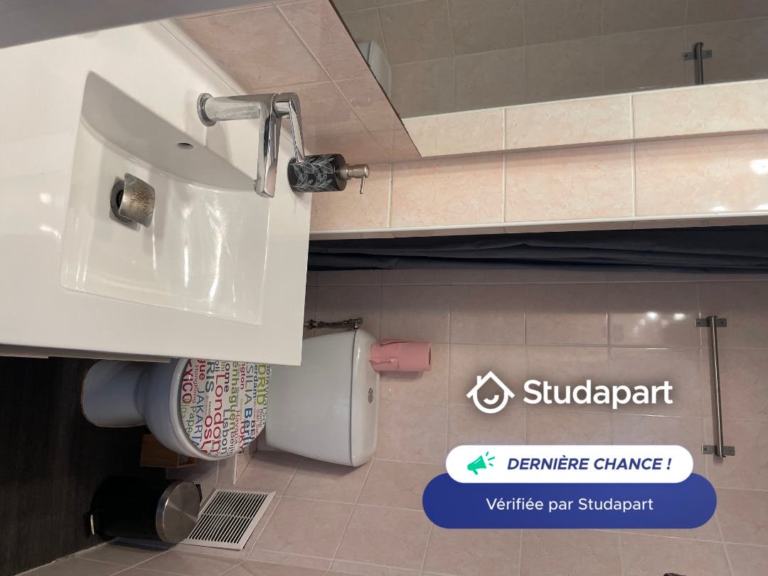 Apartment for rent on Avenue Docteur Dautheville, Antibes - Prikaz 5
