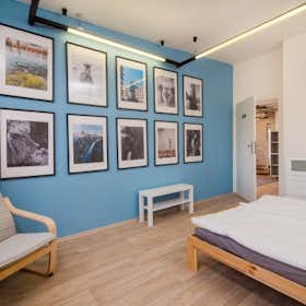 Private room for rent for €791 per month in Prague, Sokolská