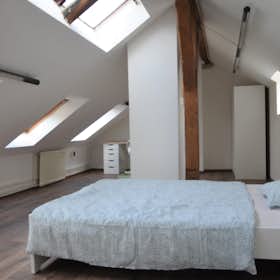 Private room for rent for CZK 19,895 per month in Prague, Sokolská