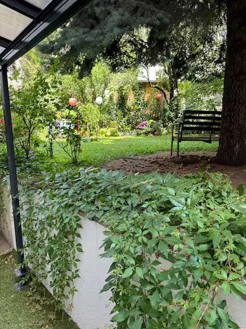 Eduard-Suess-Gasse, Vienna preview