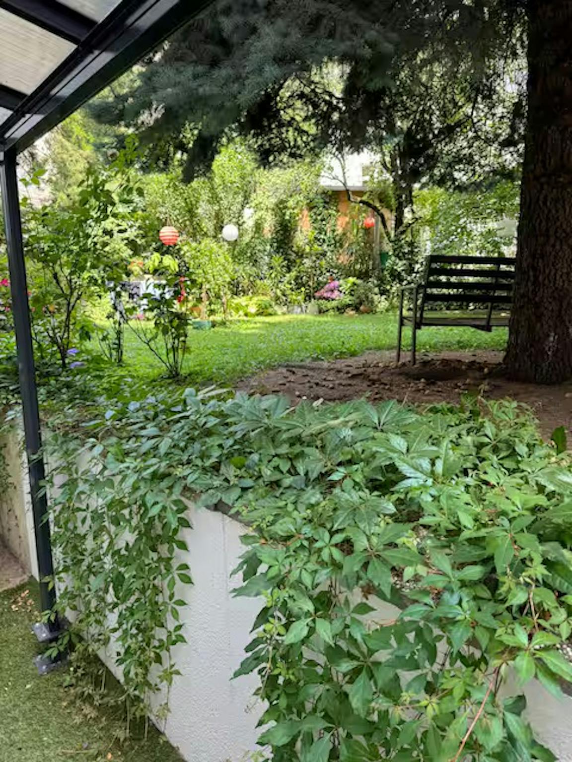 Eduard-Suess-Gasse, Vienna preview