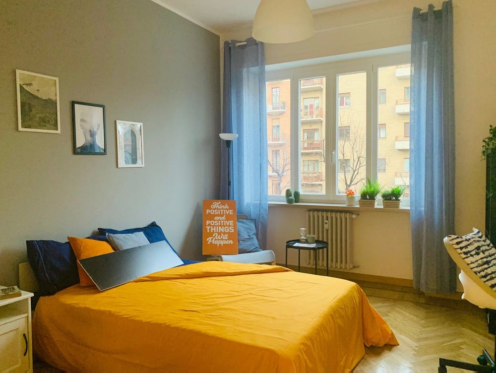 Private room in Corso Vittorio Emanuele II, Turin (1277623) room image 1