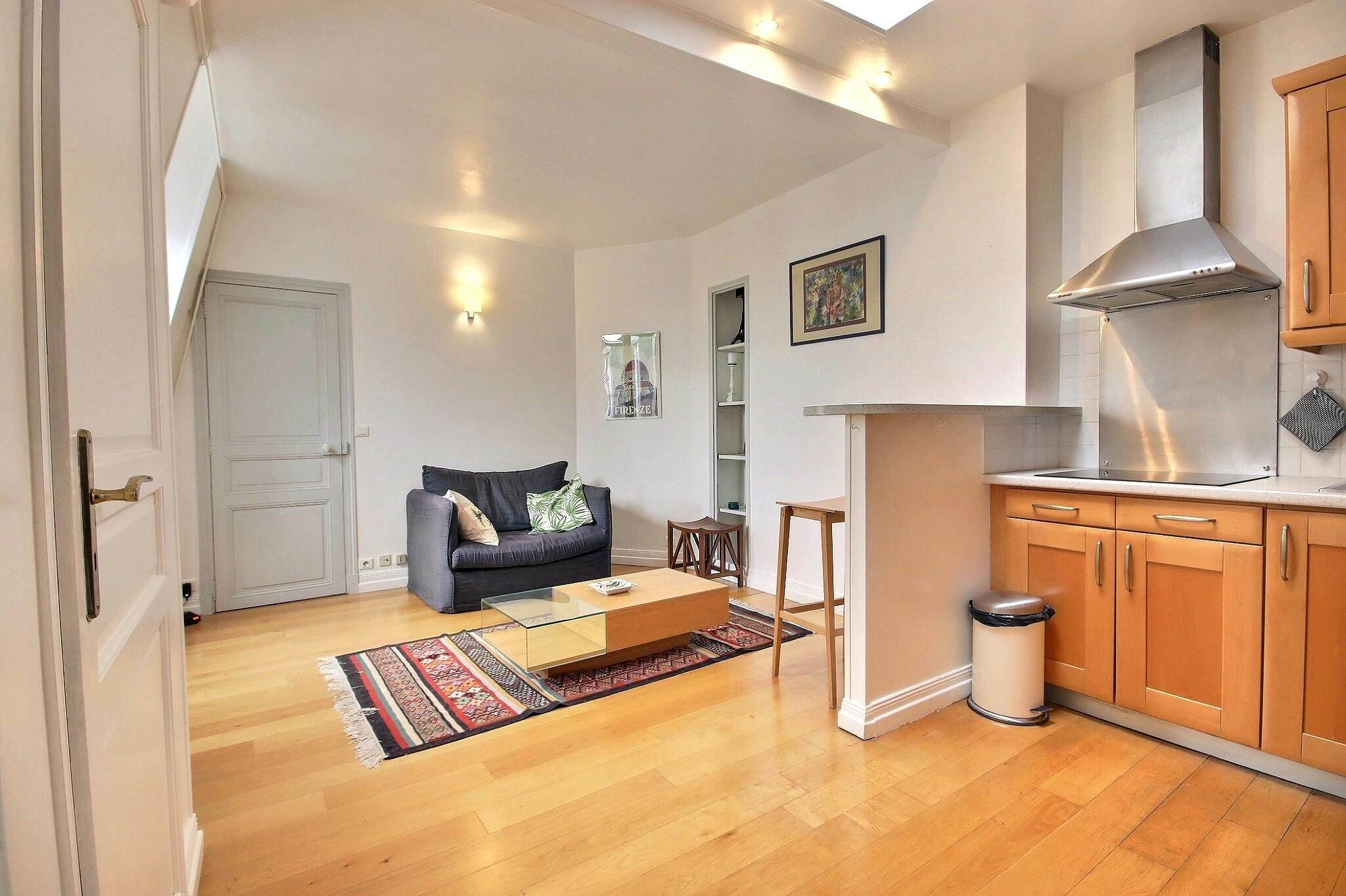 1-Bedroom Apartment in Rue des Martyrs, Paris (1284923) ROOM