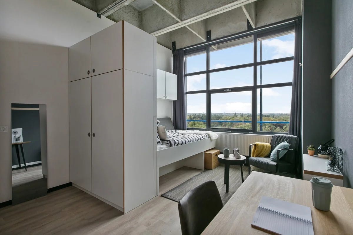 preview gallery tile