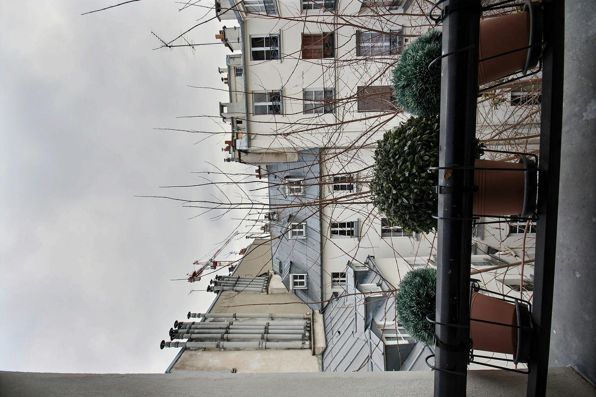 1-Bedroom Apartment in Rue de Seine, Paris (1289218) ROOM 2