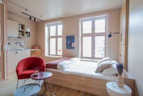 Studio te huur voor € 1.498 per maand in Oslo, Steenstrups gate