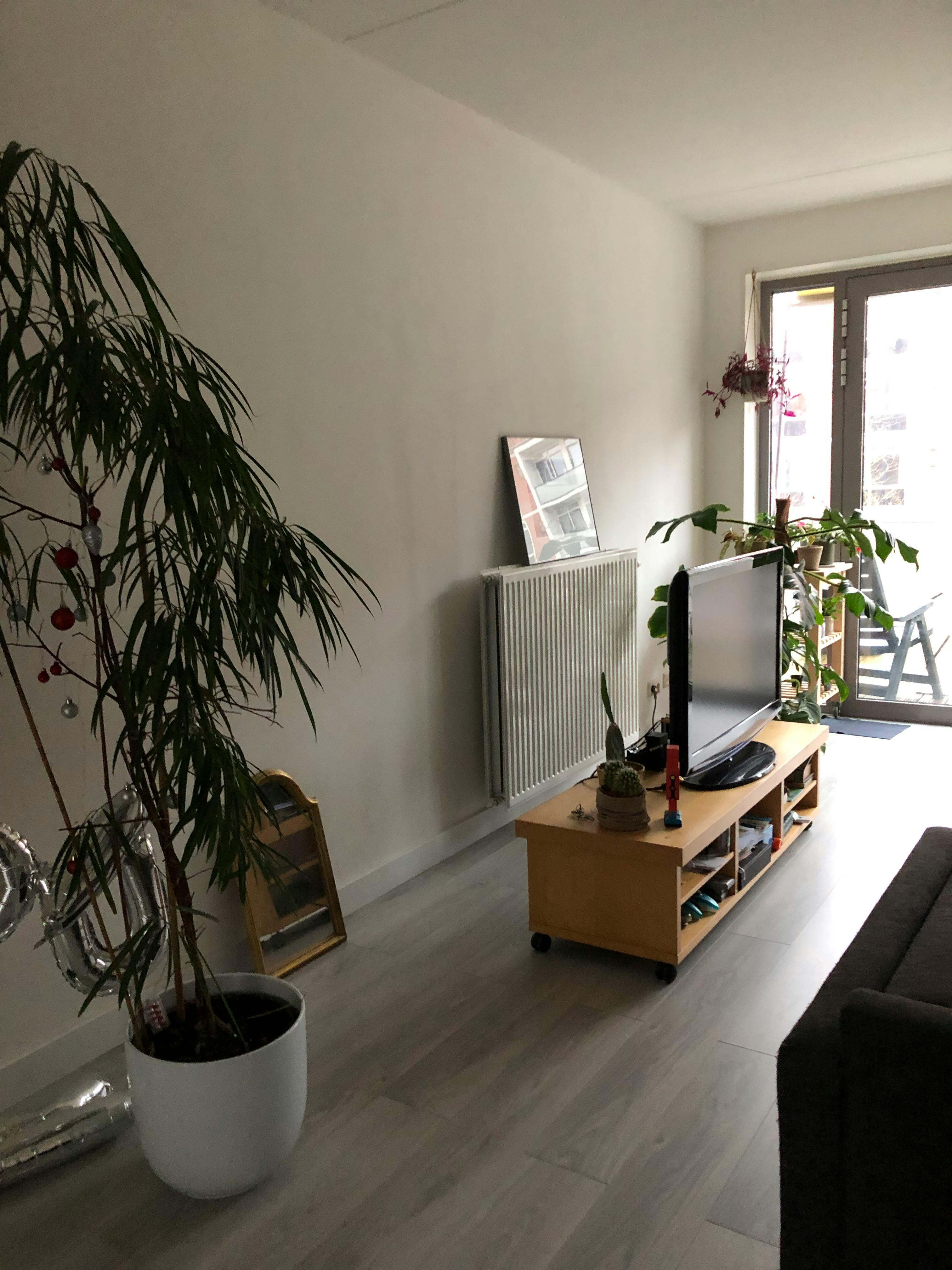 Apartment Amsterdam, 1 bed, 11m² — photo 3