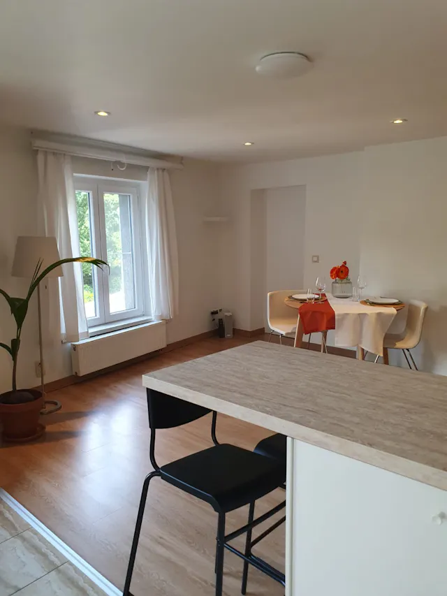 1-Bedroom Apartment in Avenue Henri Jaspar, Saint-Gilles (1300993) room image 1