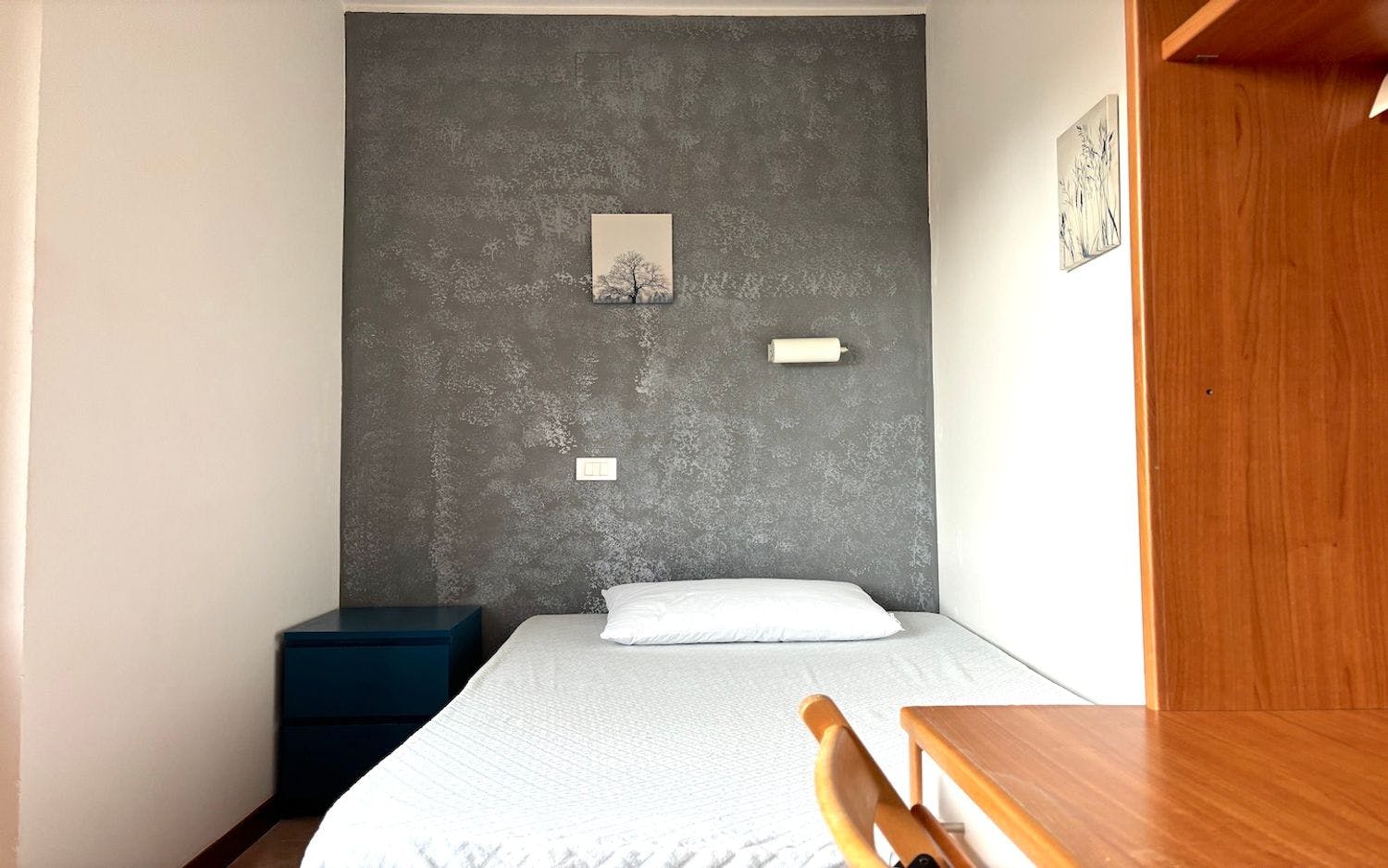 Via Alessandro Brisse, Rome preview