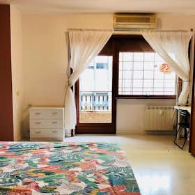 Private room for rent for €650 per month in Rome, Via Edoardo Jenner