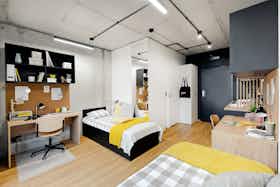 Shared room for rent for PLN 1,695 per month in Kraków, aleja 3 Maja