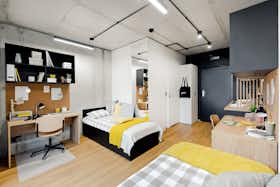 Shared room for rent for PLN 1,700 per month in Kraków, aleja 3 Maja