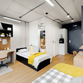 Shared room for rent for PLN 1,700 per month in Kraków, aleja 3 Maja