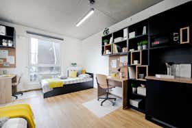 Appartamento in affitto a 1.850 PLN al mese a Kraków, aleja 3 Maja