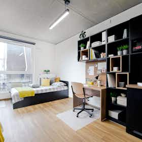 公寓 正在以 PLN 1,850 的月租出租，其位于 Kraków, aleja 3 Maja