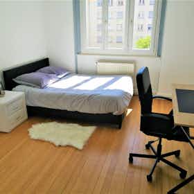 Privé kamer te huur voor € 395 per maand in Mulhouse, Rue Lefebvre