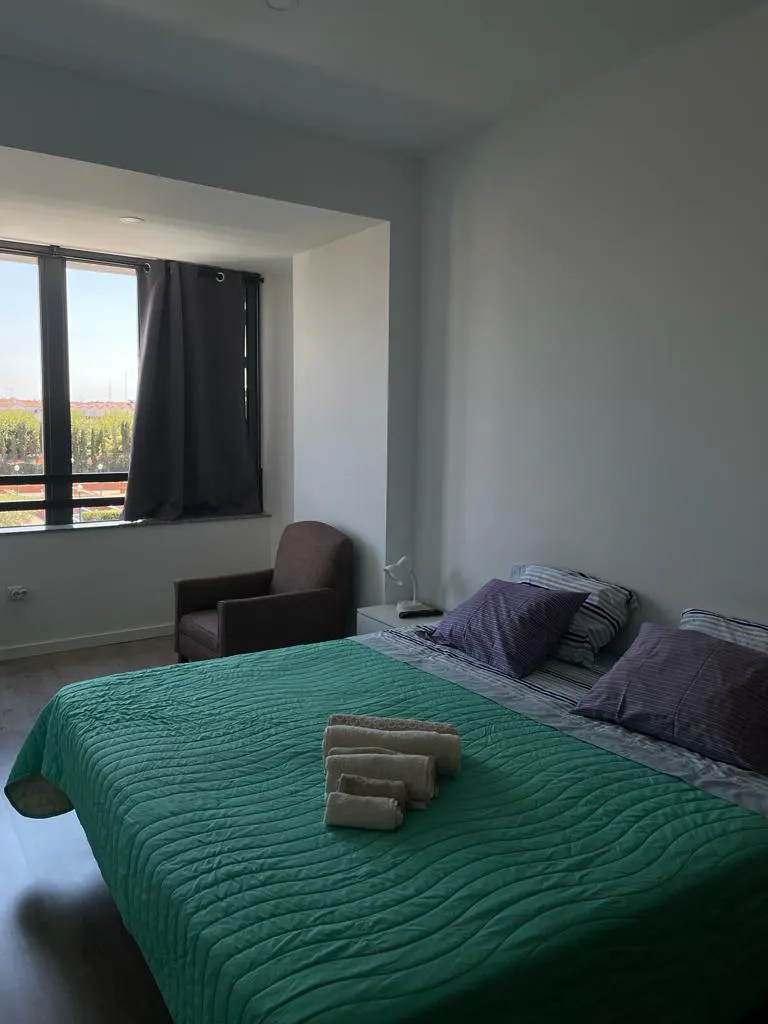 Apartment in Avenida do Doutor Lourenço Peixinho, Aveiro 1