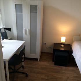 Private room for rent for HUF 98,083 per month in Budapest, József körút