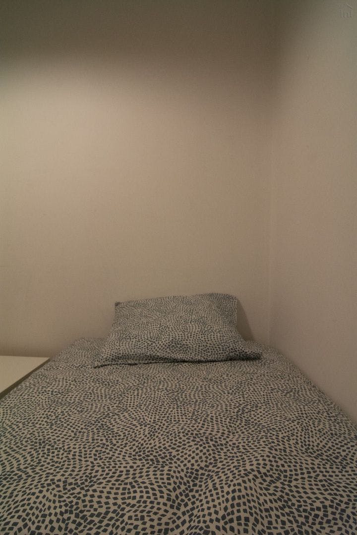 Rua do Académico Futebol Club, Porto preview