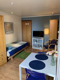 私人房间 正在以 €800 的月租出租，其位于 Antwerpen, Mauroystraat