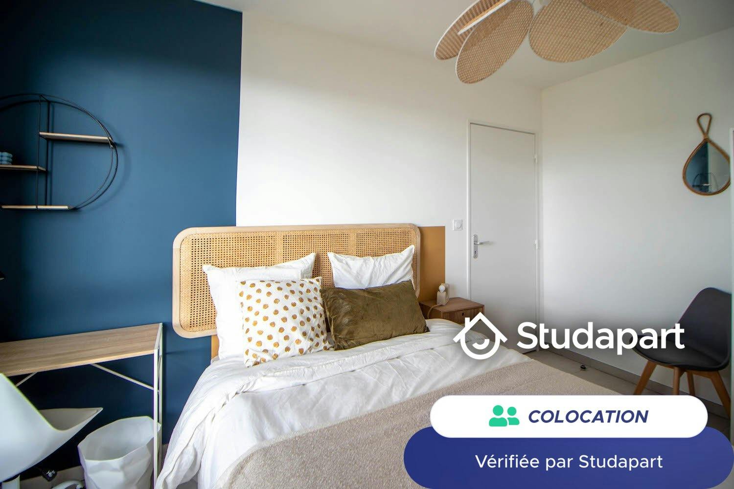 Private room for rent for €620 per month in Villeurbanne, Rue Baudin