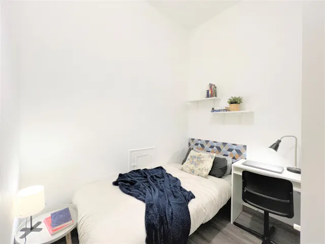 Private room in Calle de San Bernardo, Madrid (1315635) room image 1