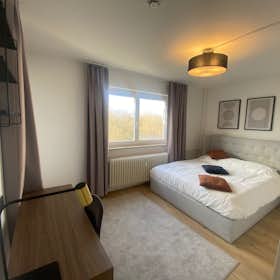Private room for rent for €795 per month in Berlin, Glockenturmstraße