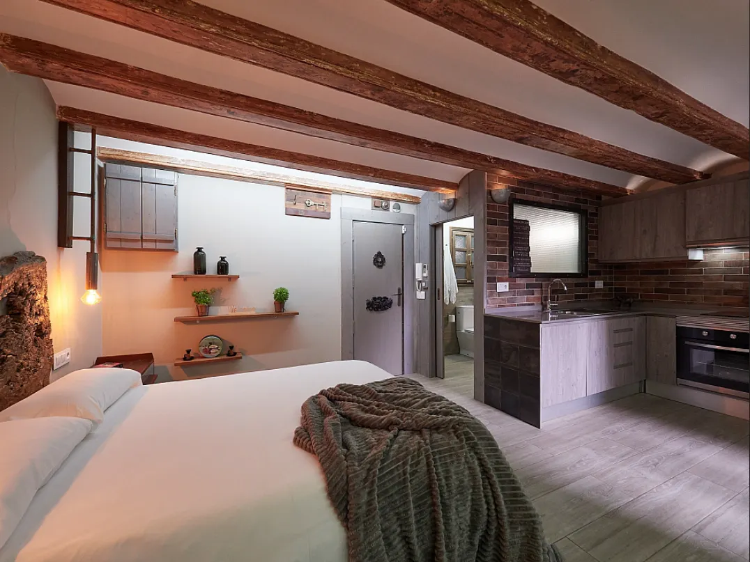 Apartment in Carrer de la Lleialtat, Barcelona (1320174) ROOM 1