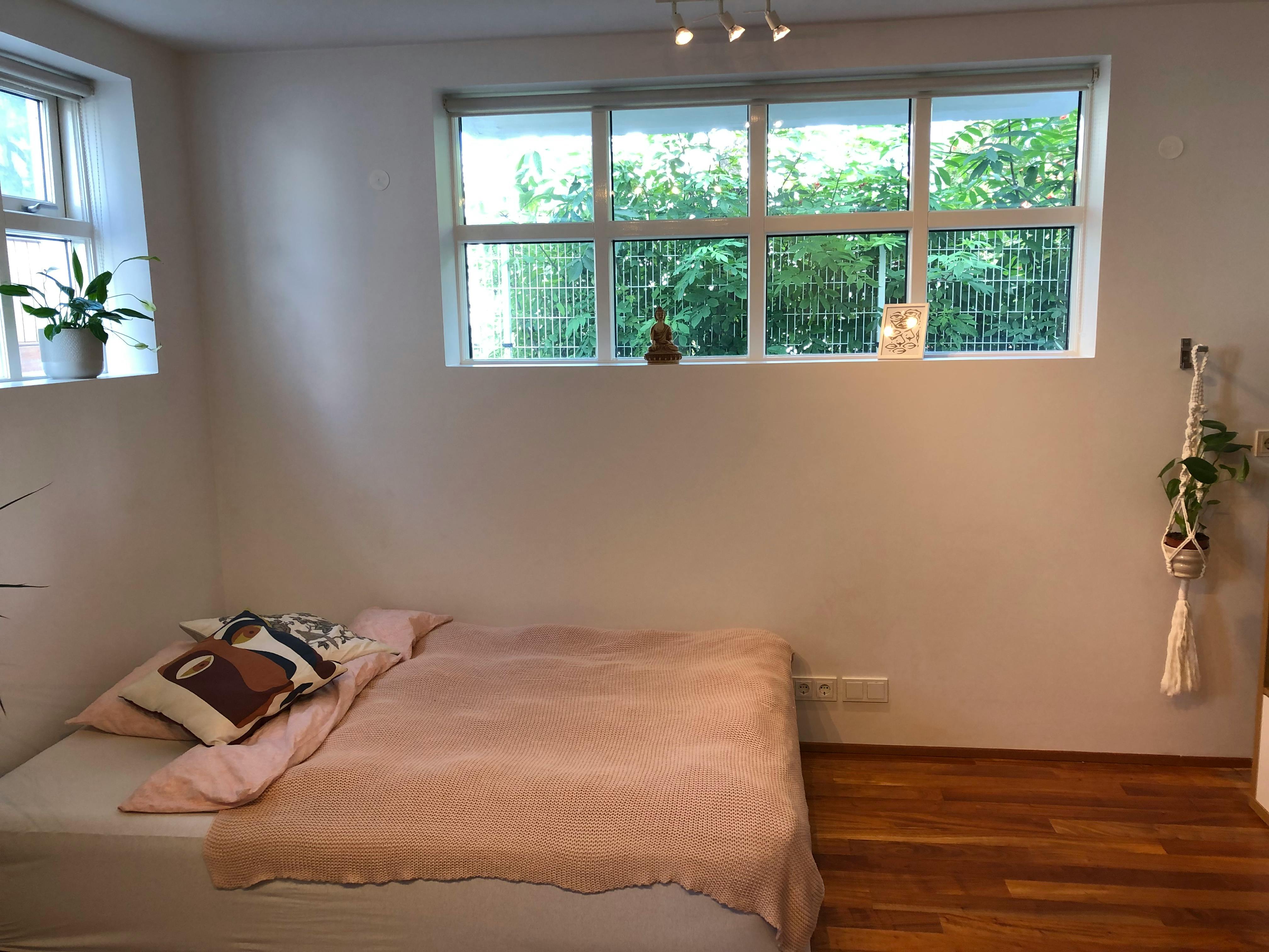 Starhagi, Reykjavík preview