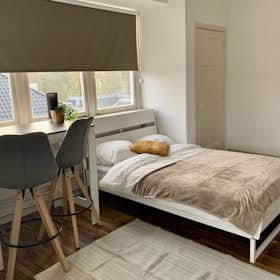 Monolocale in affitto a 850 € al mese a Rotterdam, Bovenstraat