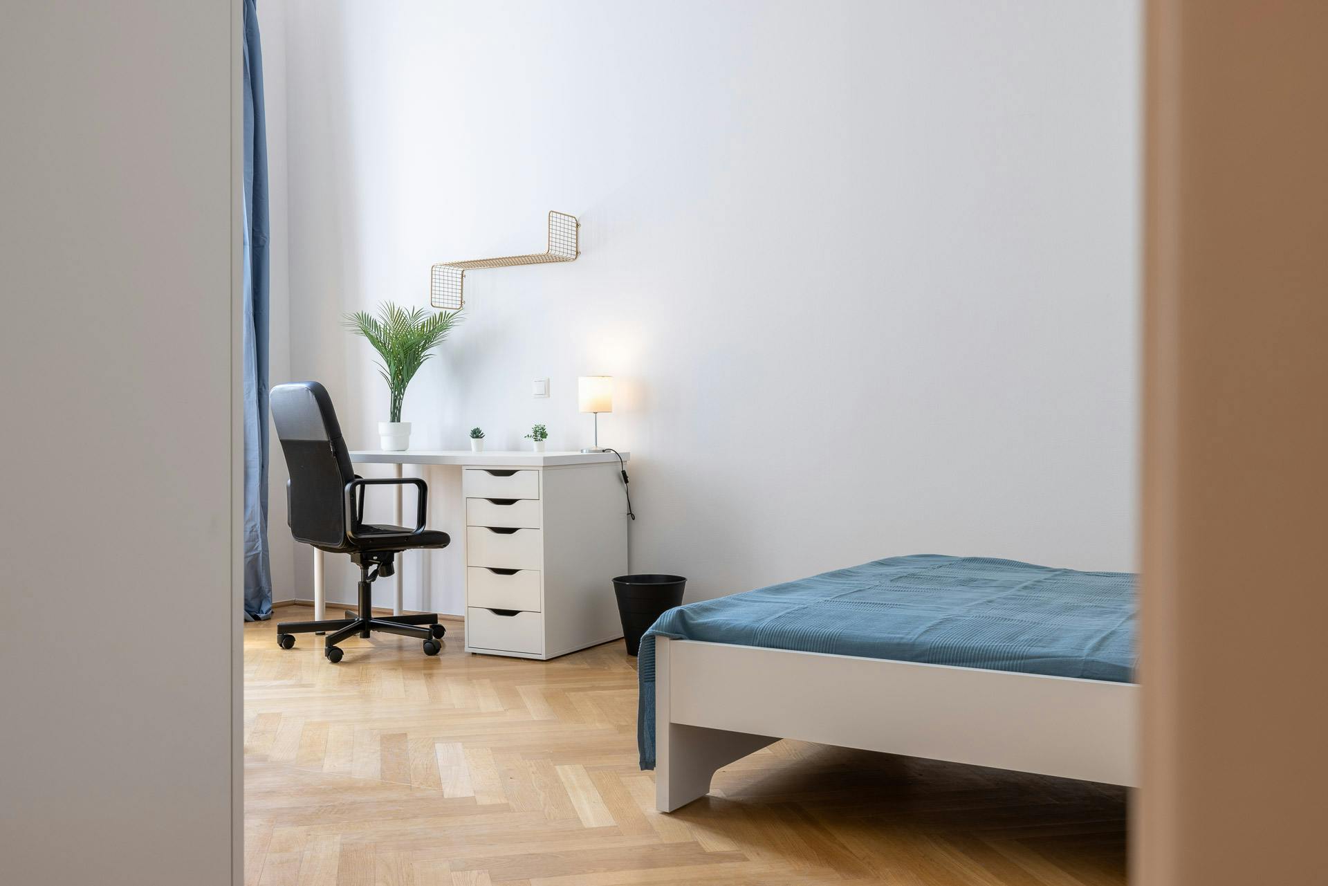 Pazmanitengasse, Vienna preview