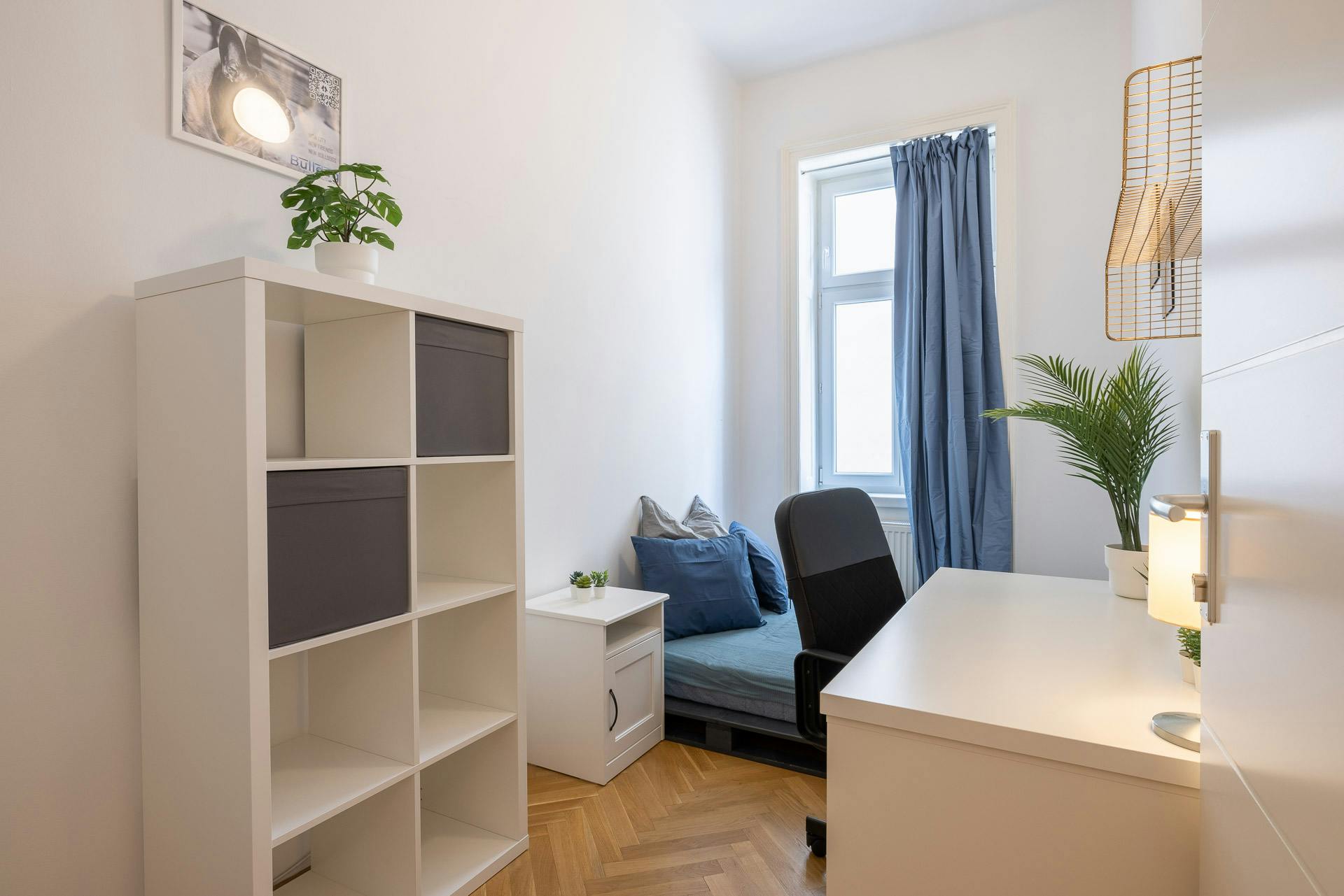 Pazmanitengasse, Vienna preview