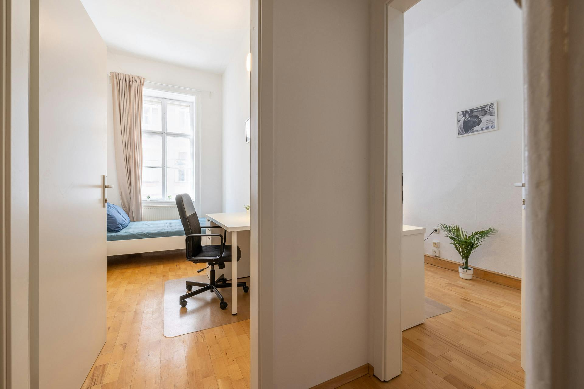 Nickelgasse, Vienna preview