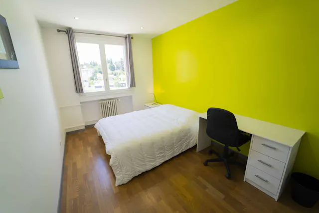 Private room in Rue de la Convention, Saint-Étienne (1323928) room image 1