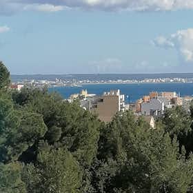 Habitación privada en alquiler por 900 € al mes en Palma, Carrer de Falguera