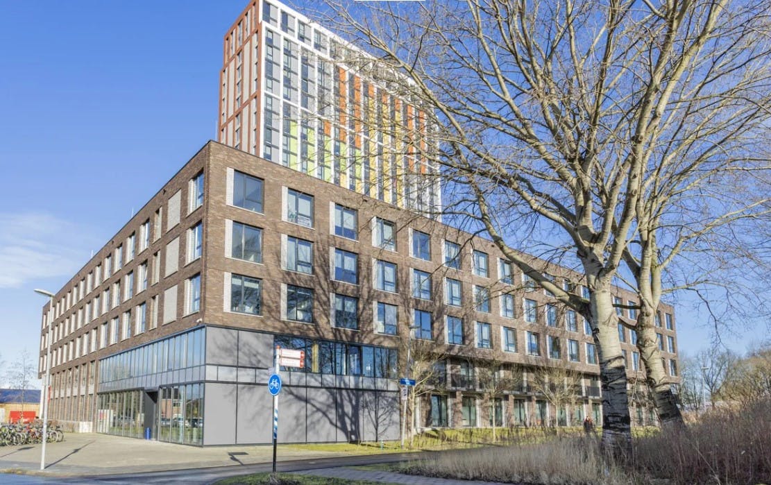 preview gallery tile