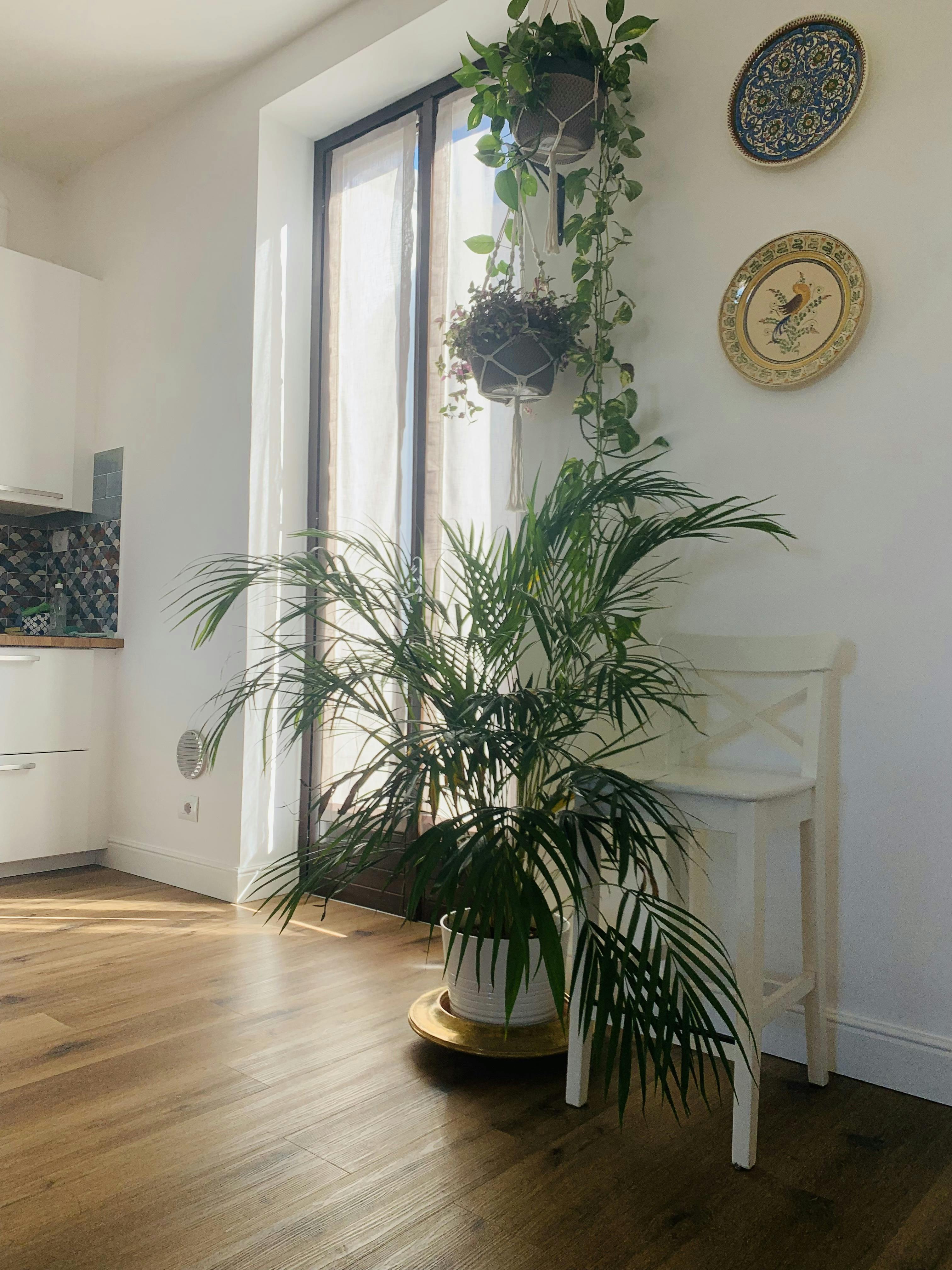 Habitación privada en alquiler por 600 € al mes en Milan, Via Benedetto Diotti