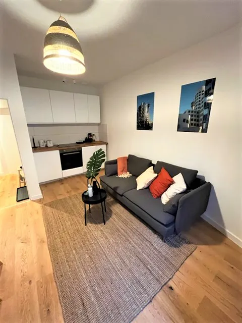 1-Bedroom Apartment in Witzelstraße, Düsseldorf (1331796) room image 18