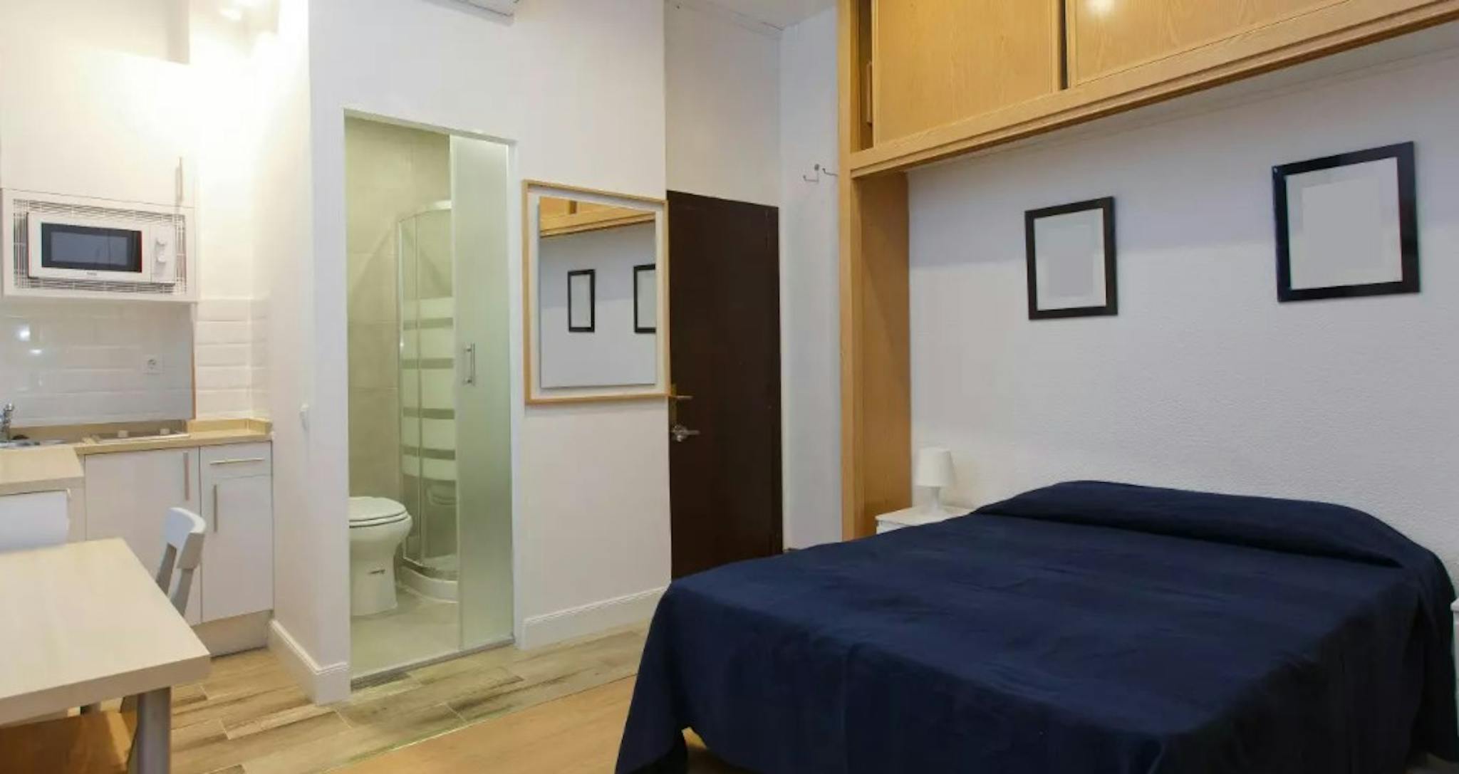 Calle de Santa Engracia, Madrid preview