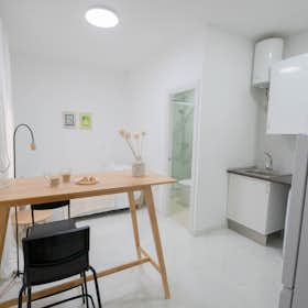 Studio for rent for €1,300 per month in Madrid, Calle de María Luisa