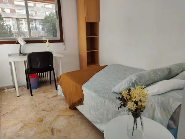 Private room in Calle de Beatriz de Bobadilla, Madrid (1340761) room image 1