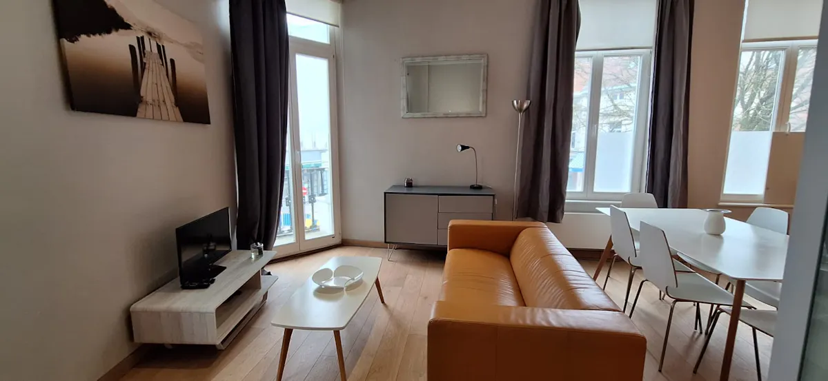 1-Bedroom Apartment in Rue de Dublin, Ixelles (1341316) ROOM