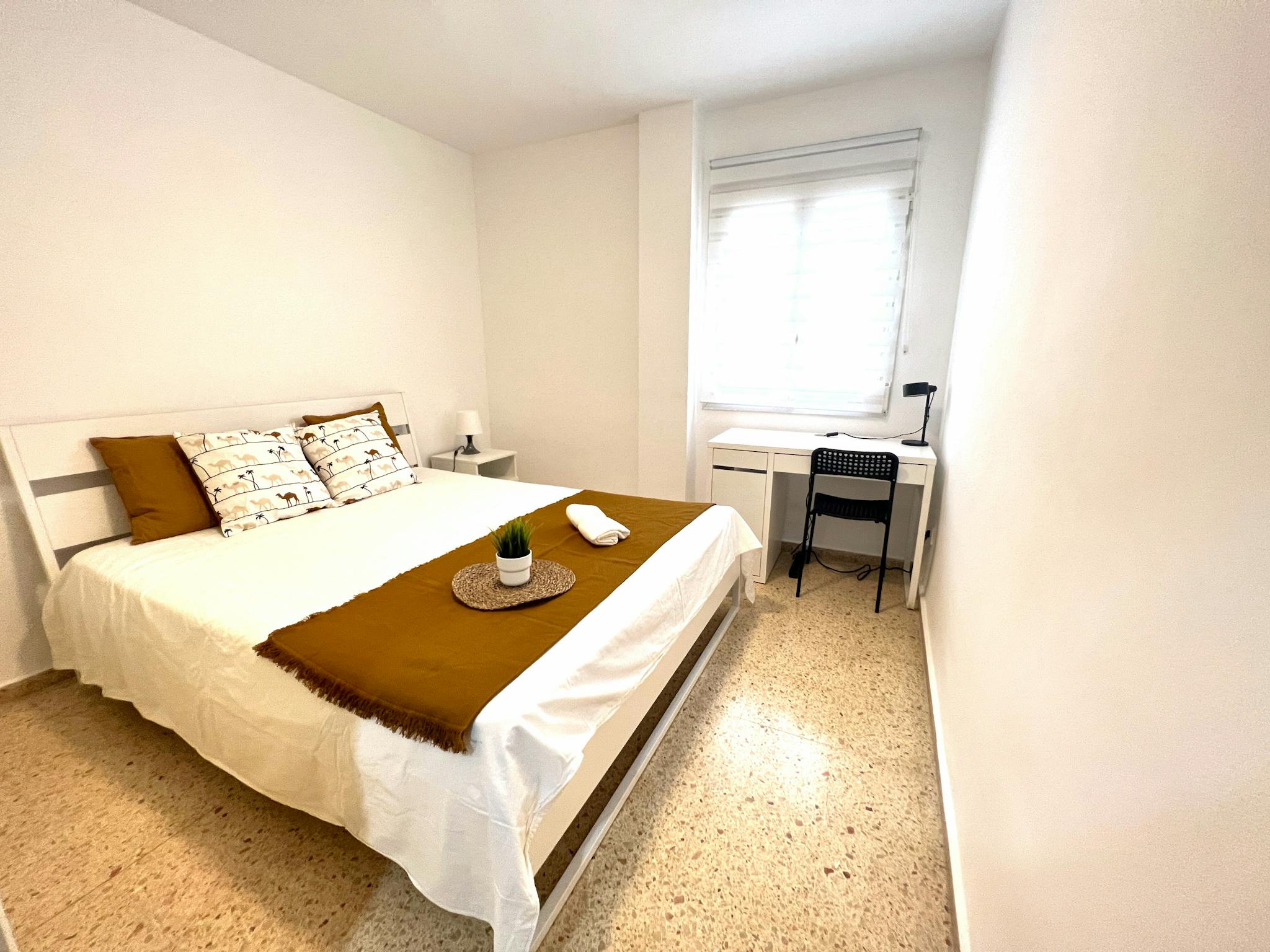 Avinguda de la Constitució, Valencia preview