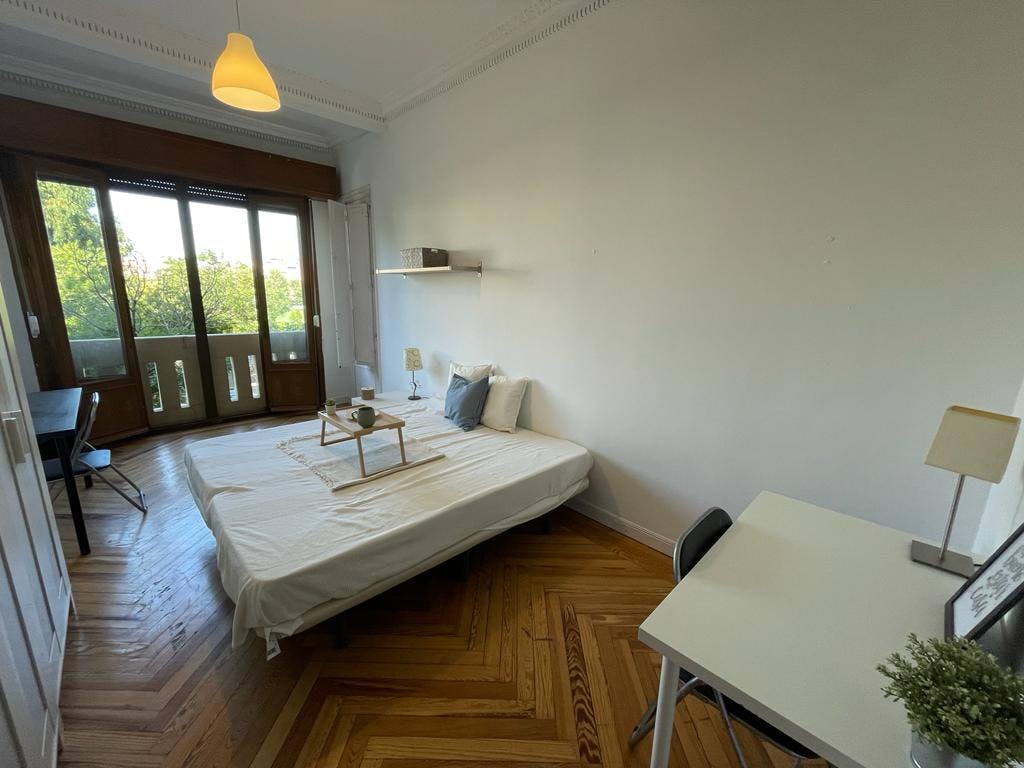 Calle de Santa Engracia, Madrid preview