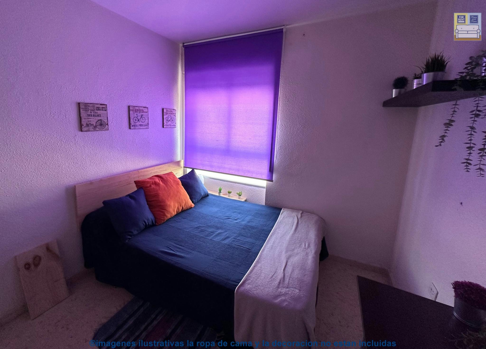 Alameda de San Antón, Cartagena preview