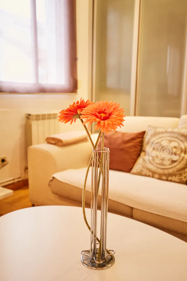 Apartment in Glorieta del Campanar, Madrid (1343277) room image 2