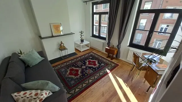 1-Bedroom Apartment in Rue Haute, Brussels (1343831) room image 2