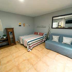 单间公寓 正在以 €850 的月租出租，其位于 Benalmádena, Avenida Gamonal